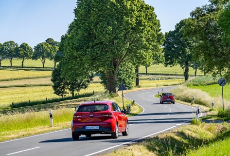 Country road between Warstein and Hirschberg in Sauerland, partly tree-lined, avenue-like, North