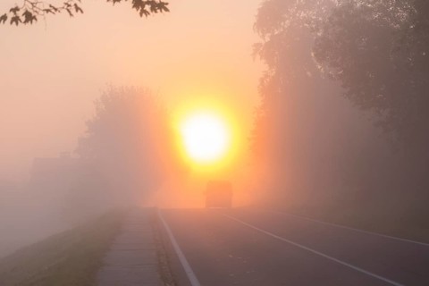 Foggy road at sunrise with poor visibility, driving into the sun. Trees at road side