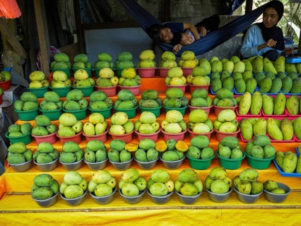Mango (Mangifera indica) for sale at street market, Sulawesi, Indonesia, Asia