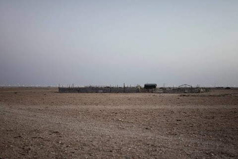Camel farm Salalah, Dhofar, Oman, Asia