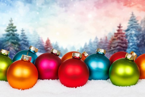Christmas card for Christmas with forest in the background card and text free space copyspace