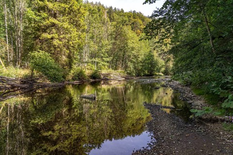 The River Wutach in the Wutach Gorge, Black Forest, Baden-Württemberg, Germany, Europe