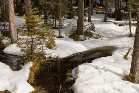 Lake Grosser Arbersee in late winter. The lake and the adjacent forest are snow covered. Germany,