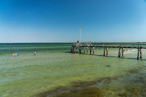 Jetty on the beach at Nyborg, Denmark, Europe
