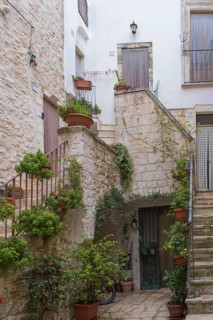 Idyllic alley with steps and lush plant decorations in terracotta pots, Cisternino, Apulia, Italy,