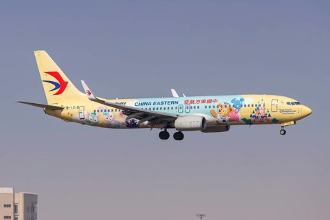 Duffy Friendship Express special livery at Pudong Airport (PVG) in Shanghai, a Boeing 737-800