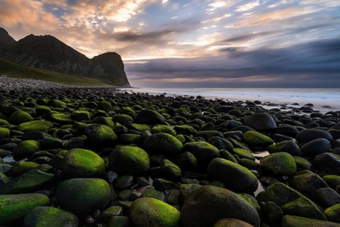 Moss-covered, round stones at Unstad Beach, Lofoten, Norway, Europe