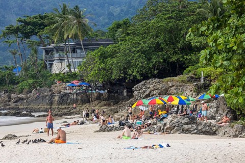 Sandy beach beach of Patong with palm trees. The beach stretches for around three kilometres along