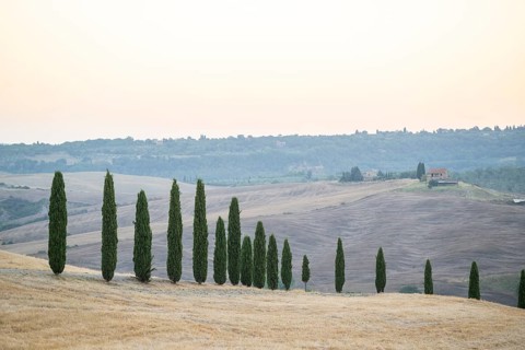 Typical Tuscan landscape in Val d'Orcia with hills, trees, fields, cypresses in autumn, Tuscany,