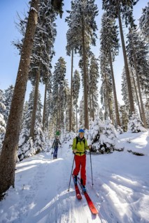 Ski tourers and snowshoe hikers in a snowy winter forest, ascent to the Teufelstättkopf,