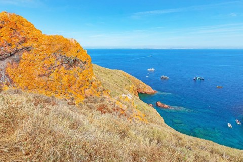 View of Berlenga island coast, Berlenga Grande Island, Portugal, Europe