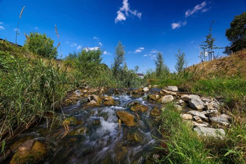 Recklinghausen, North Rhine-Westphalia, Germany, renaturalised Hellbach, renaturalised watercourse,