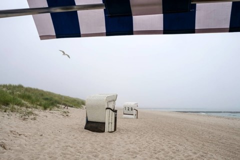 Graal-Müritz, Mecklenburg-Western Pomerania, Germany, Beach chairs in the fog on the sandy beach of