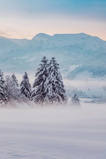 Deep snowy winter morning mood near Halblech in the foothills of the Alps in the Allgäu with the