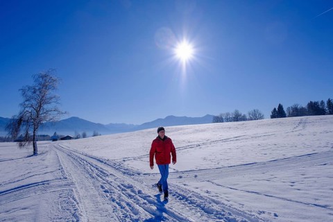 Hikers in winter near Sindelsdorf in the Benediktbeurer Moor, Tölzer Land, Upper Bavaria, Bavaria,