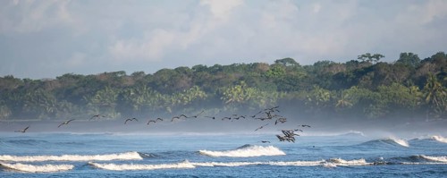Coastal landscape, sea and sandy beach with rainforest, Corcovado National Park, Osa Peninsula,