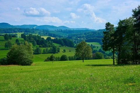 Green hilly landscape with trees and meadows under a partly cloudy sky, Gersfeld, Rhön, Hesse,