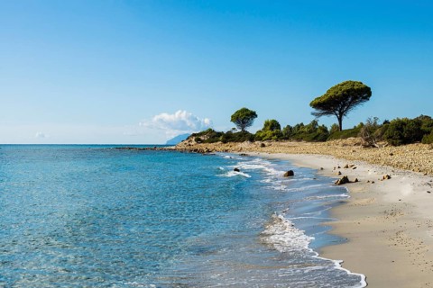 Lonely beach, Spiaggia di Biderosa, Riserva Biderosa nature reserve, Orosei, Nuoro province, east