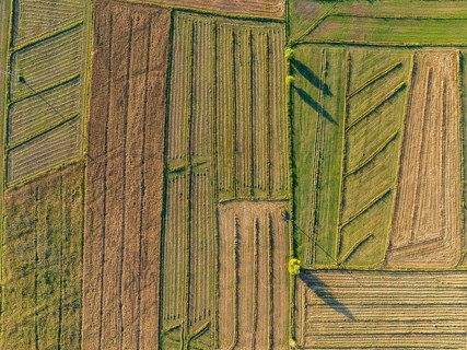 Top-down view, Aerial view, Cultivated fields, Agriculture, Landscape, Kyrgyzstan, Asia