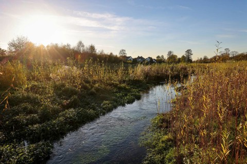 Bottrop, North Rhine-Westphalia, Germany - Renaturalised Boye in golden autumn, the tributary of