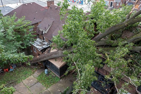 Detroit, Michigan, A storm with 70mph wind gusts blew down a 15-ton, 110-foot cottonwood, damaging