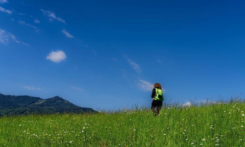 Hiker in a meadow on a mountain, Bad Vigaun, Austria, Europe