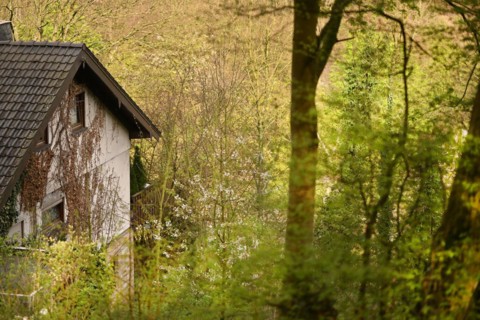 Iserlohn. This year's unusually warm weather in April has already given us a May. Nature exploded