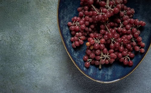 Shtoshi berry, Shepherd's pie, a hybrid of sea buckthorn and barberry, top view, no people