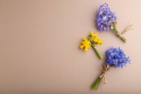 Spring snowdrop flowers bluebells, narcissus on beige pastel background. top view, flat lay, copy
