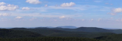View from the Eckkopf tower near Bad Dürkheim over the Palatinate Forest