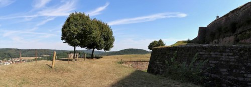 Bitche (Bitsch) French commune in the Moselle department in the Grand Est region