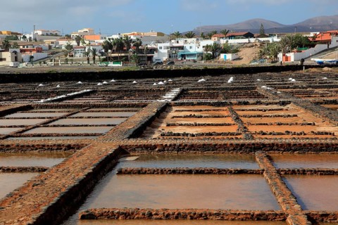 Evaporation of sea water in salt pans, Museo de la Sal, Salt museum, Las Salinas del Carmen,