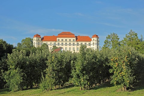 Baroque New Castle built in 1712 and apple orchard, Baroque castle, Tettnang, Lake Constance