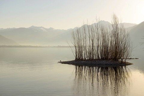 Small Island with Bare Trees on Alpine Lake Maggiore with Mountain and Sunlight in Locarno, Ticino,