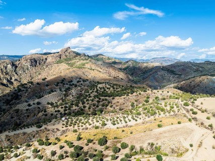 Mountains and Olive groves around Ghost Town from a drone, Pentedattilo Village, Calabria, Italy,