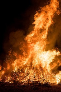 Environmental pollution, fire from discarded Christmas trees, Ostfildern-Plieningen,