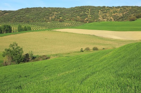 Farming landscape of Rio Setenil valley, Cuevas del Marques, Serrania de Ronda, Spain, Europe