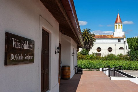 Balduzzi winery, San Javier, Maule valley, shop entrance, Chile, South America