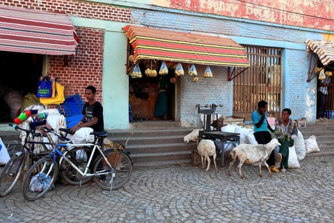 Aksum, Axum, street scene, business and trade on the street, Ethiopia, Africa