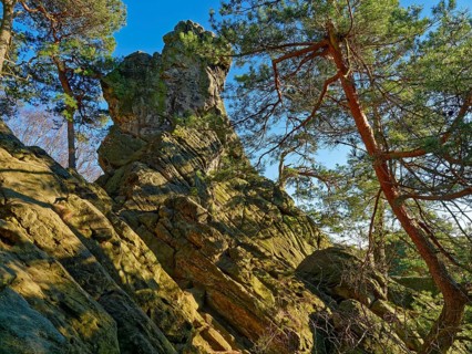 The Dörenther Cliffs, boulders and trees rooted into the rock, in the UNESCO Geopark TERRA.vita in