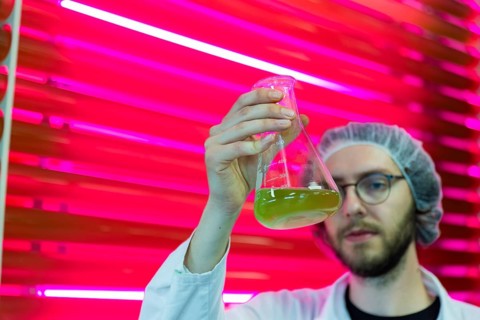PUEVIT GmbH produces the most efficient photobioreactors for the cultivation of microalgae. The aim