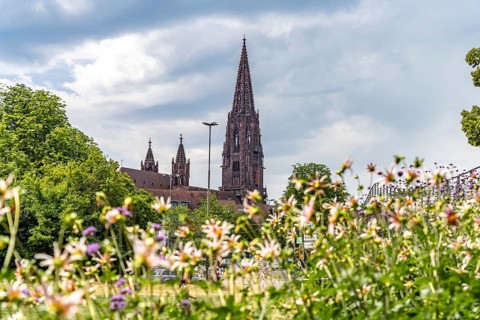 View of Freiburg Minster from the Stadtgarten, Freiburg im Breisgau, Black Forest,