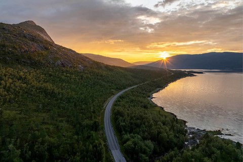 Road at the Efjord, near Narvik, Tysfjord, Ofoten, Nordland, Norway, Europe