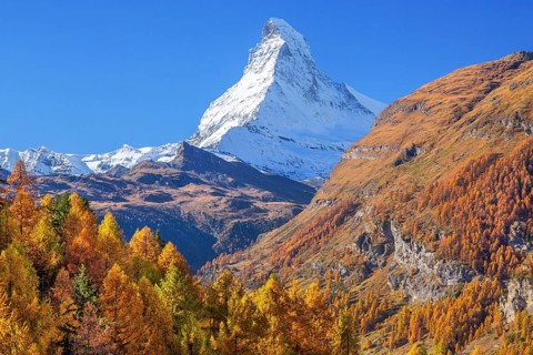 Autumn view of the Matterhorn 4478m and golden yellow larches, Zermatt, Mattertal, Valais,