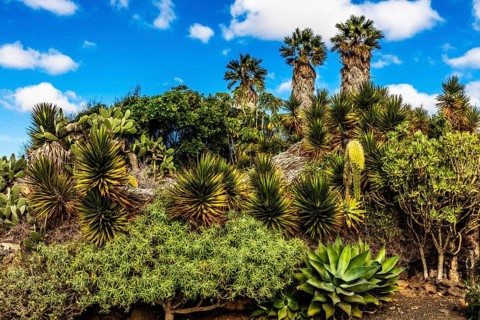 2016, Tiagua, Lanzarote, Farm Museum El Patio, Tiagua, ESP, Spain, Canary Islands, Canary Islands,