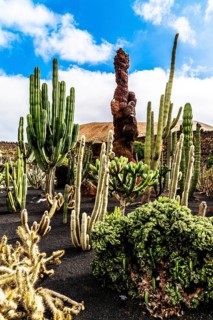 2016, Guatiza, Lanzarote, Jardin de Cactus by Cesar Manrique, ESP, Spain, Canary Islands, Canary