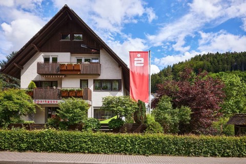 Sparkasse Kinzigtal, advertising banner Sparkasse, trees, hedge, hilly landscape with coniferous