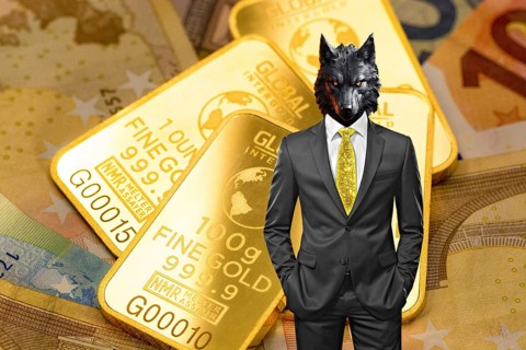 Symbolic image, wolf in a suit, stock market, gold, securities, industry, economy critical,