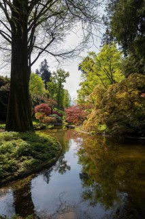 Pond with bridge in the park, spring, Villa Melzi, Bellagio, Province of Como, Lombardy, Italy,