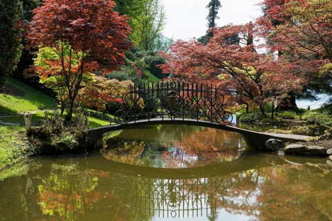 Pond with bridge in the park, spring, Villa Melzi, Bellagio, Province of Como, Lombardy, Italy,